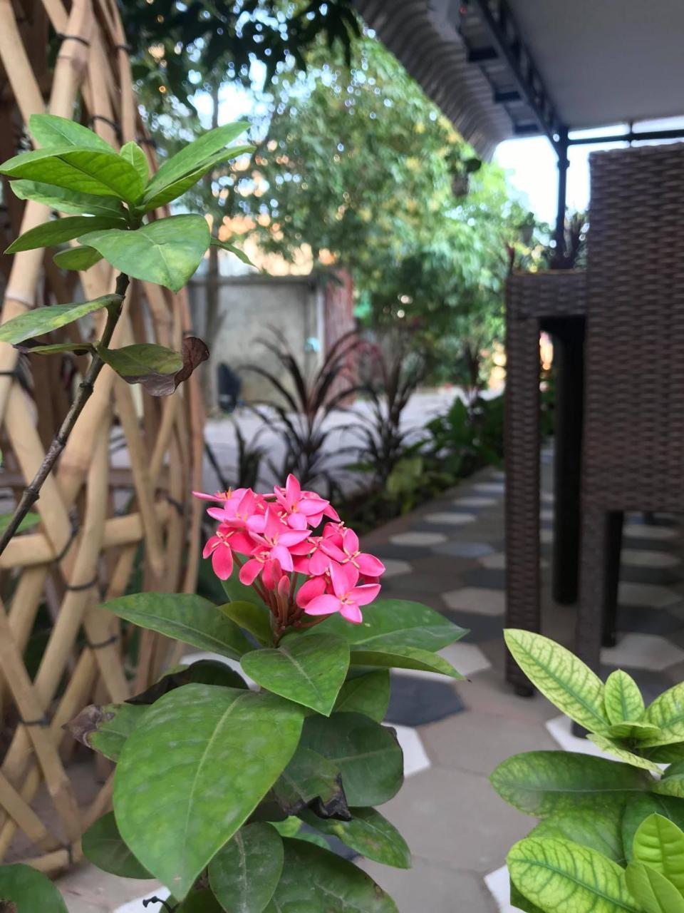 My Home Villa Siem Reap Exterior foto